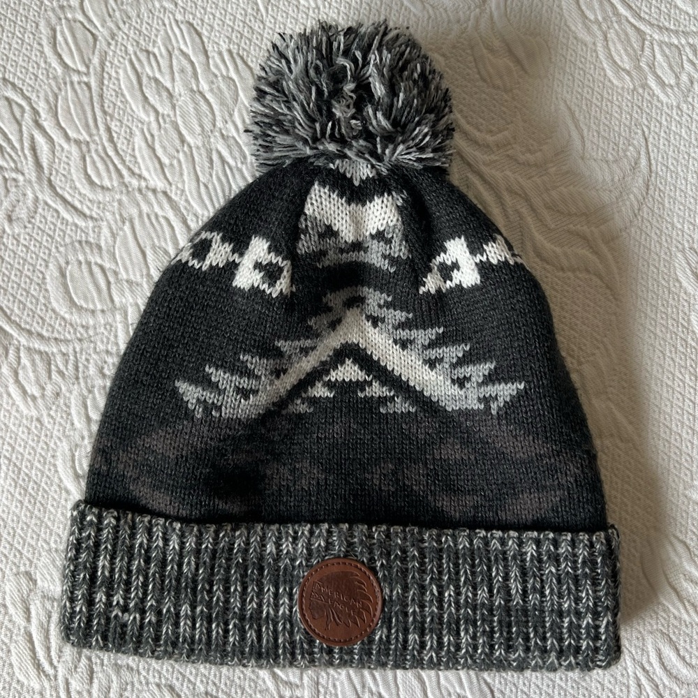 American Eagle Outfitters Pom-Pom Toque/Beanie